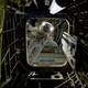 Illustration for article titled ‘I Don’t Like The Look Of This,’ Says Astronaut Entering Flickering, Ooze-Covered Abandoned Section Of ISS
